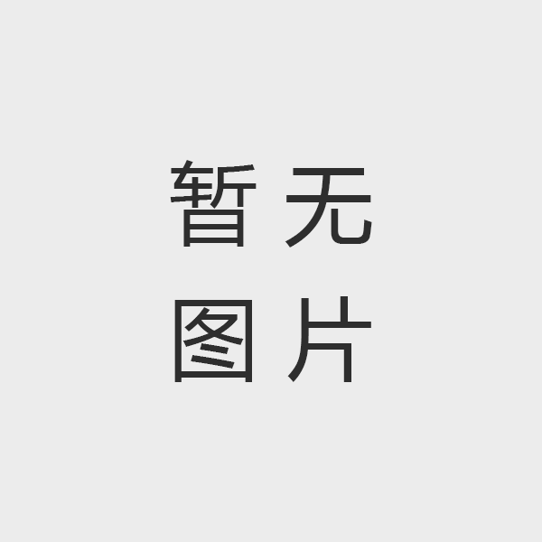 氢电无人机PNP 引领工业级飞行新势力